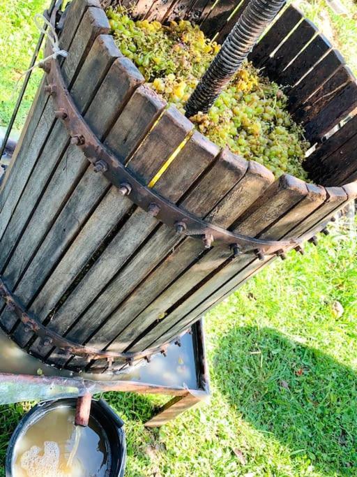 La-Marti, Idyllische Unterkunft Mit Kamin Bagdati Exterior photo